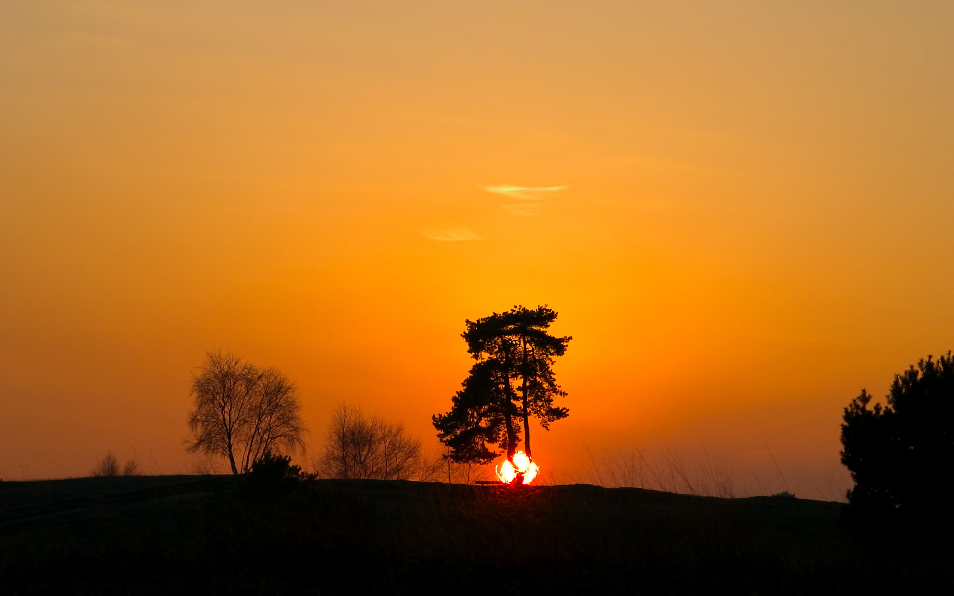 Wallpapers widescreen HQ - Fonds d ecran large HD - 0244